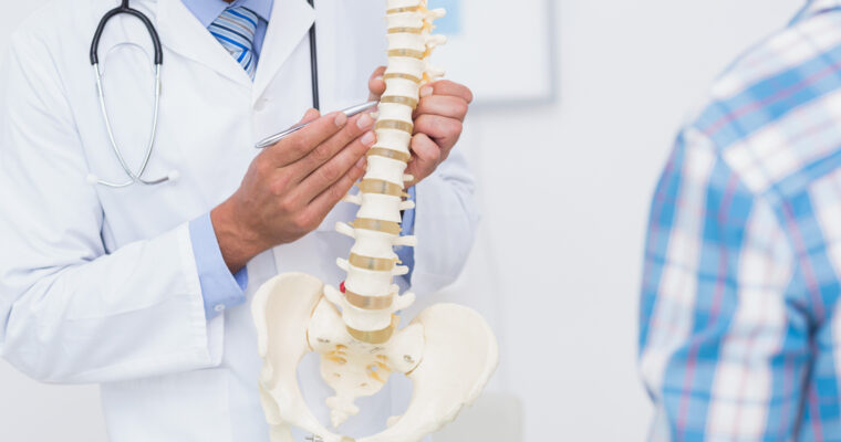 A Look At The Career Path After Getting a Doctor of Chiropractic Degree